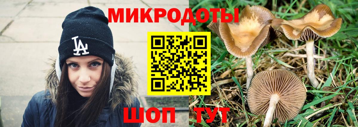 Черняховск  Псилоцибиновые грибы мицелий  Вход с VPN 